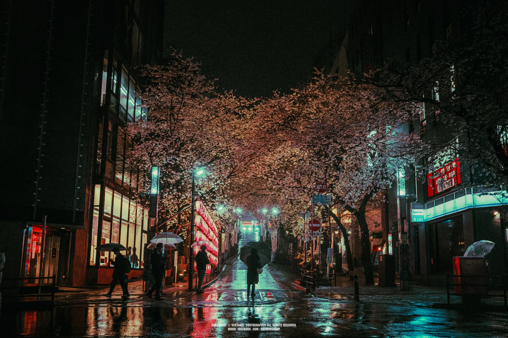 Japan — photograph 24