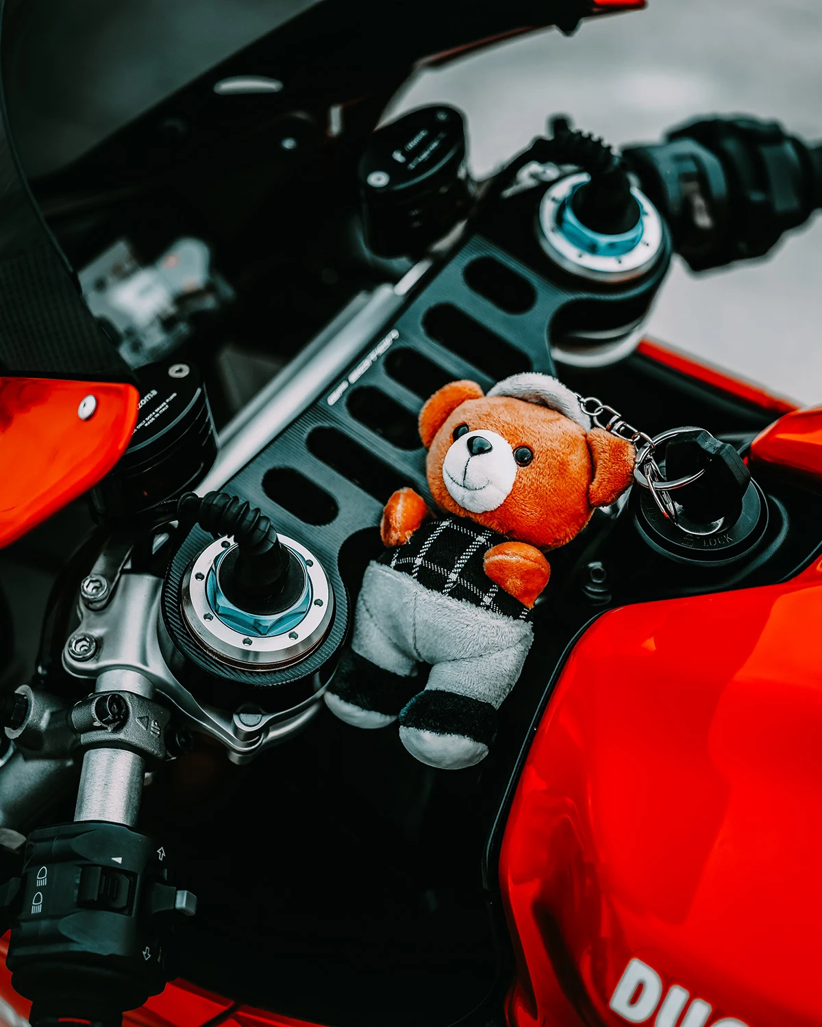 Ducati 1199 Panigale S — photograph 8