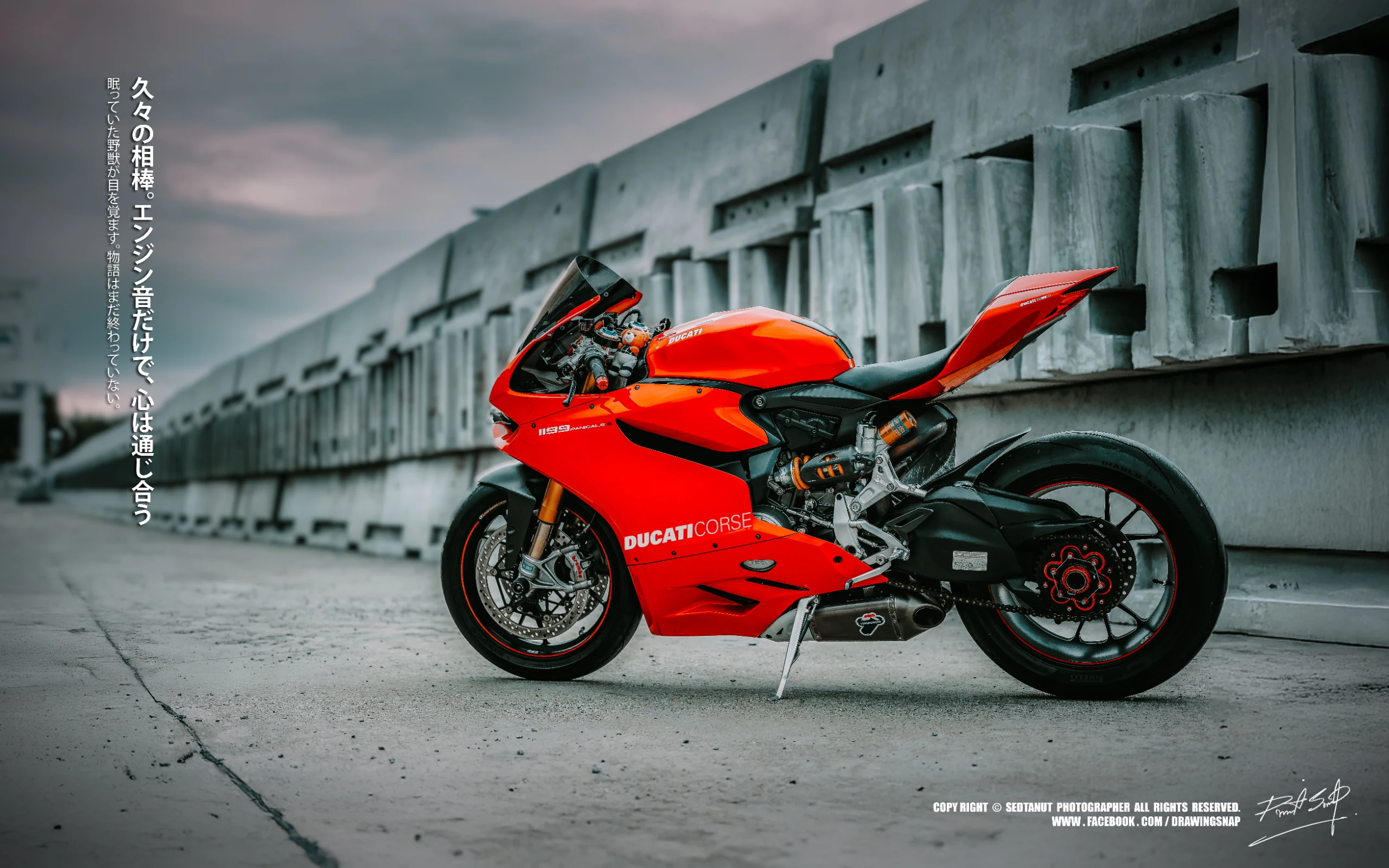 Ducati 1199 Panigale S — photograph 16