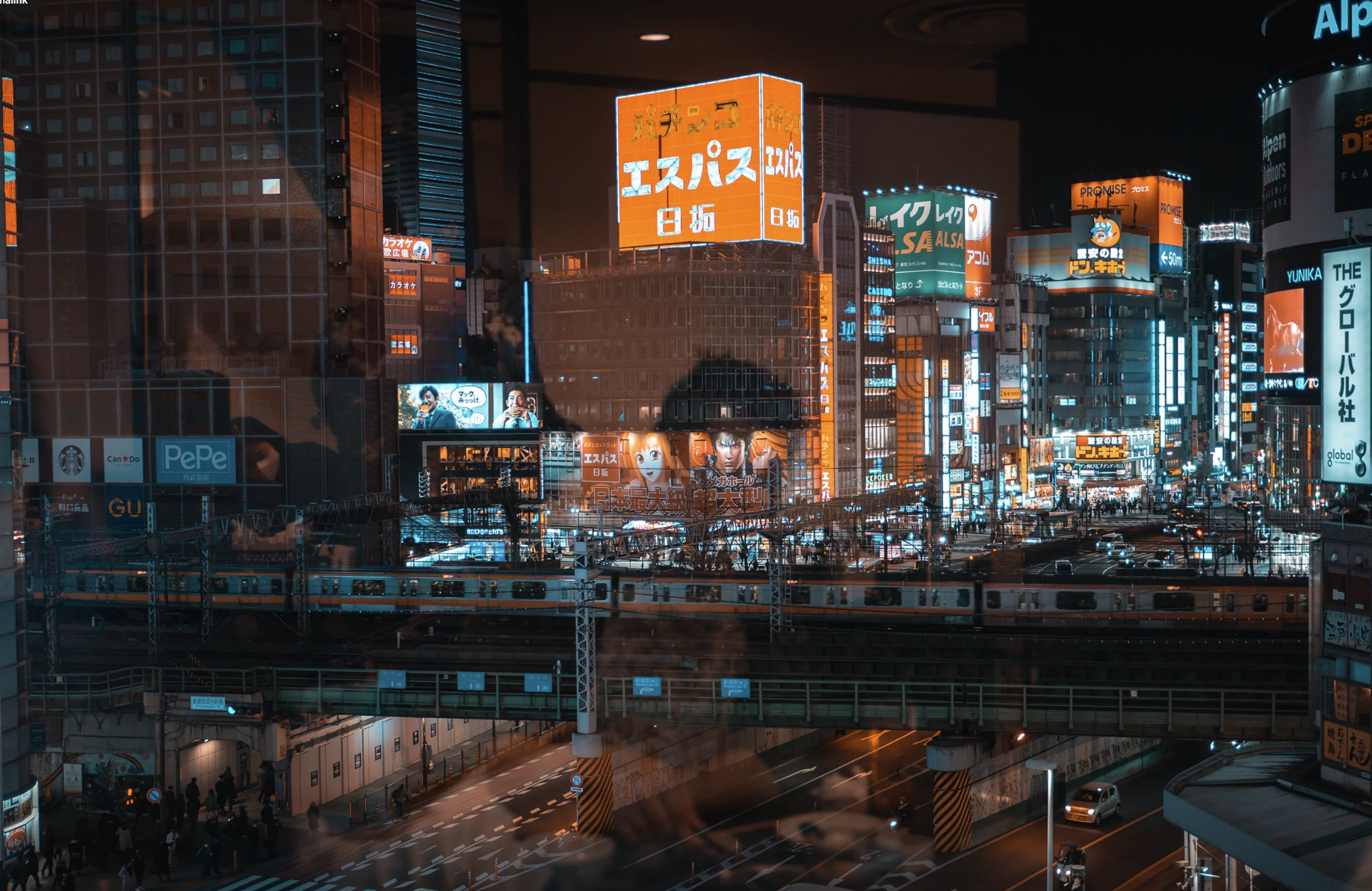 Japan — photograph 21